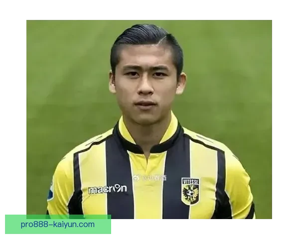 维特斯球队结构