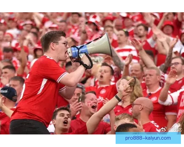 塞尔维亚球迷狂热助威，主场氛围持续提升